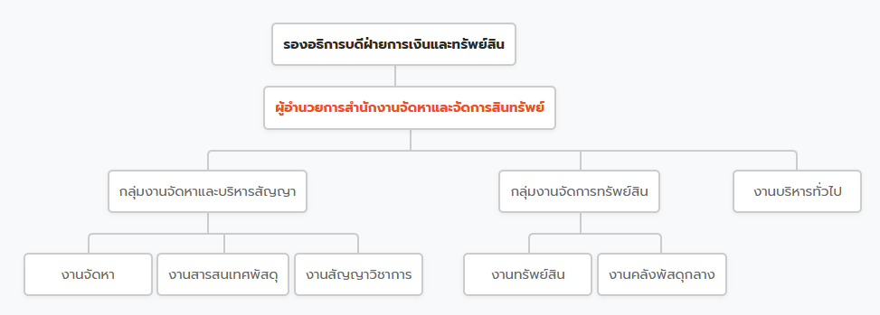 Organization Structure